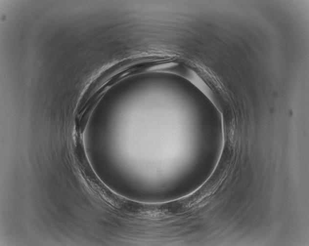 X0000084000540200702161135