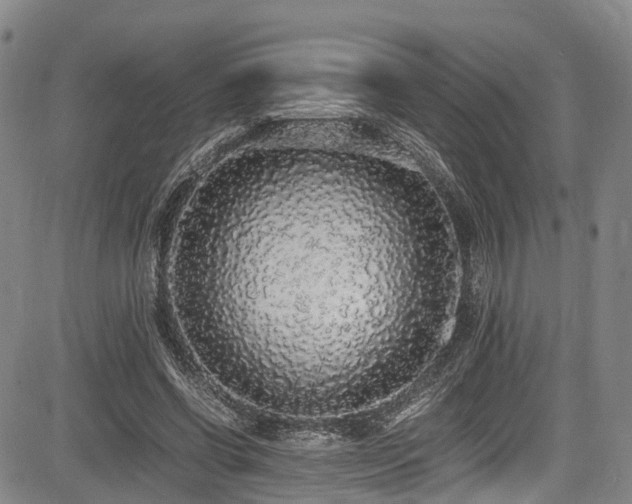 X0000084000542200702161135