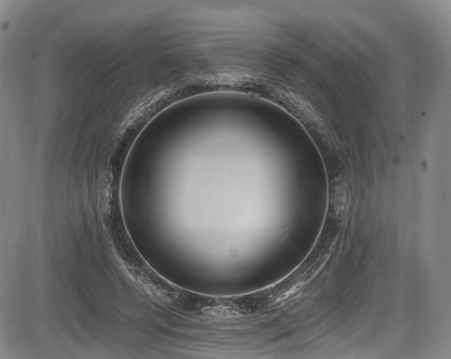 X0000084000544200702161135