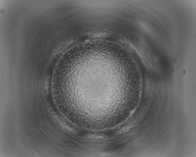 X0000084000545200702161135
