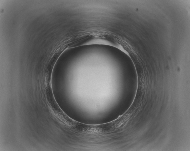 X0000084000546200702161135
