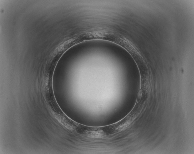 X0000084000548200702161135