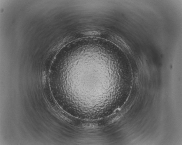 X0000084000549200702161135