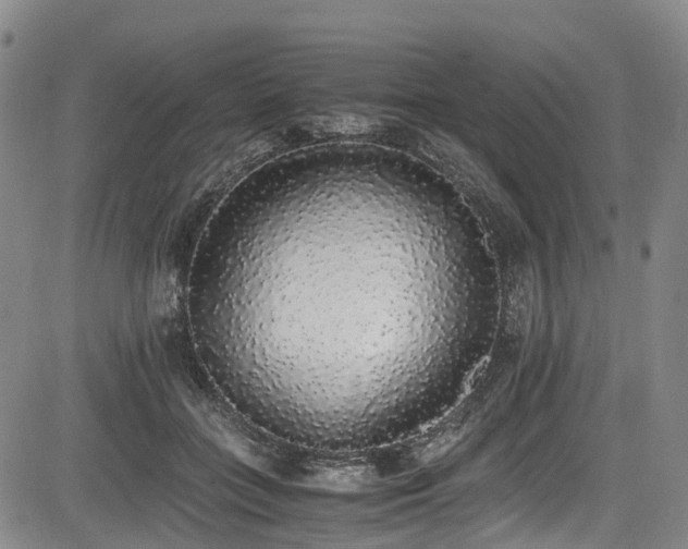 X0000084000555200702161135