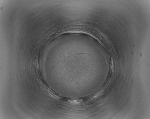 X0000084000558200702161135