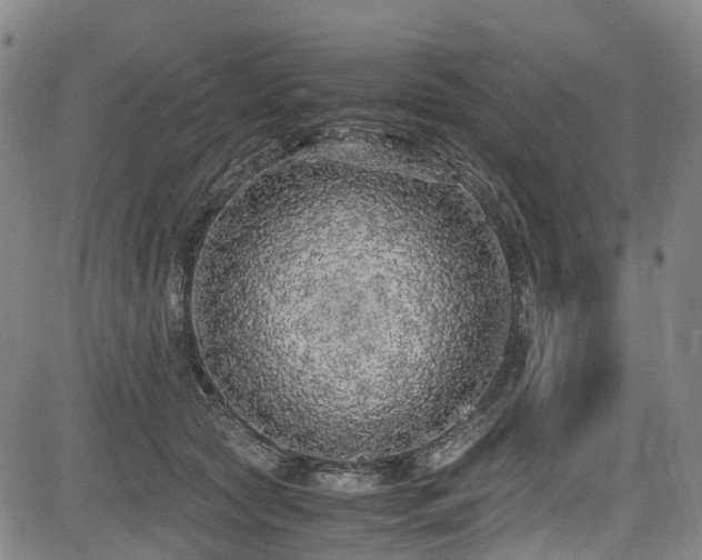 X0000084000561200702161135