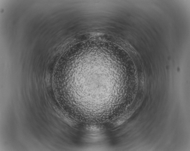 X0000084000565200702161135