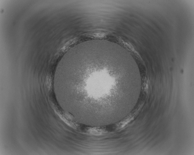 X0000084000568200702161135