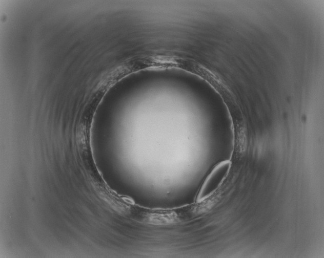 X0000084000571200702161135