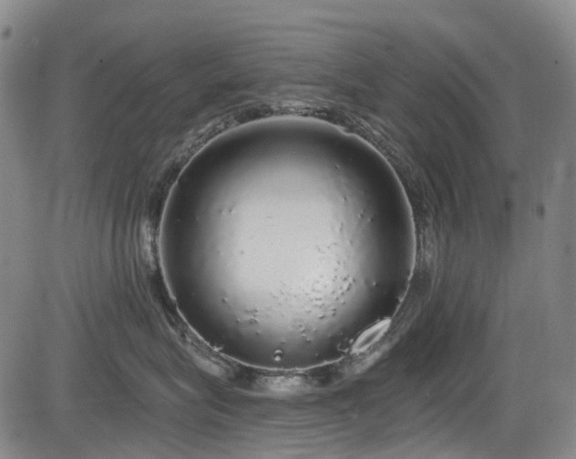 X0000084000575200702161135