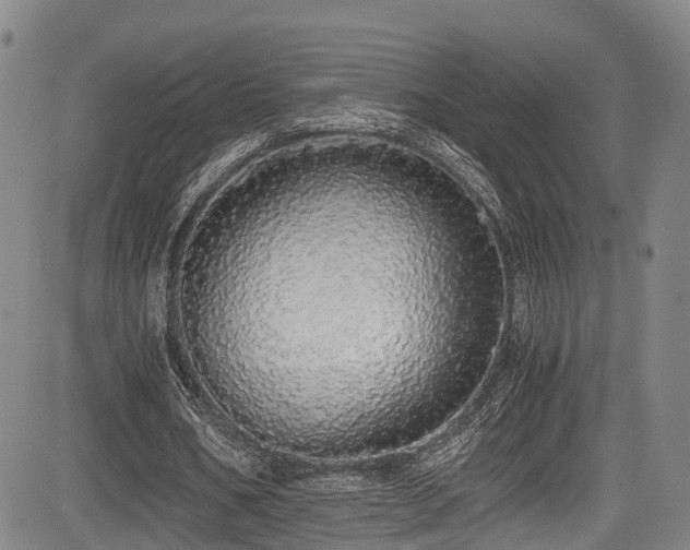 X0000084000578200702161135