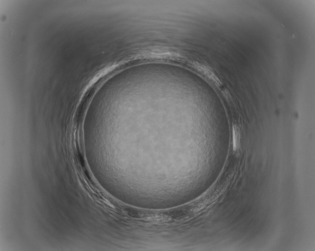 X0000084000579200702161135