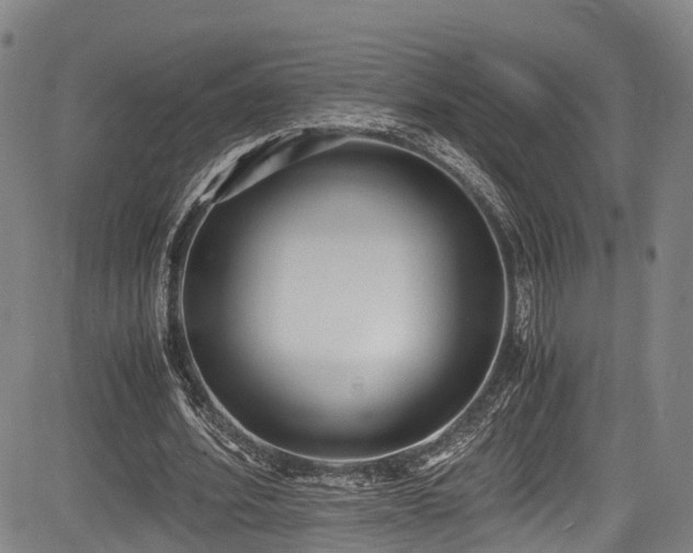 X0000084000580200702161135