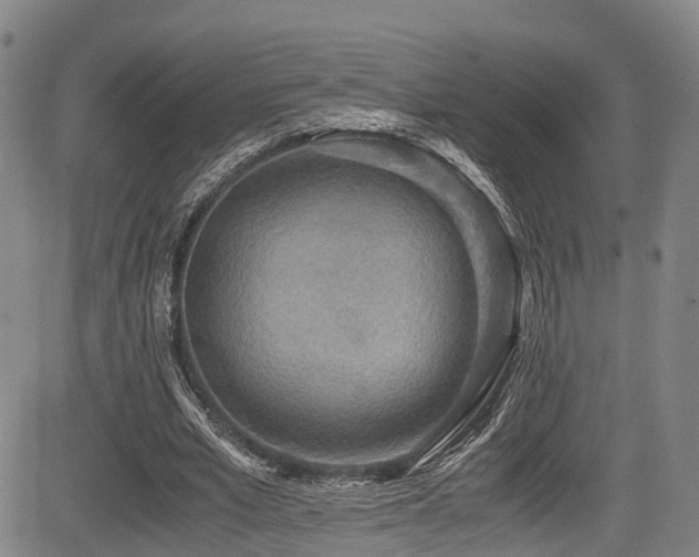 X0000084000581200702161135