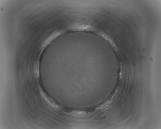 X0000084000582200702161135