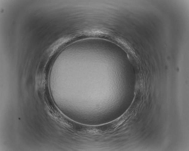 X0000084000583200702161135