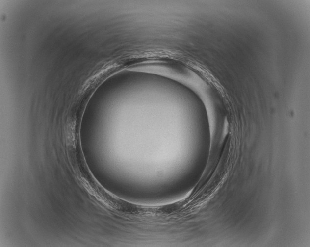 X0000084000585200702161135