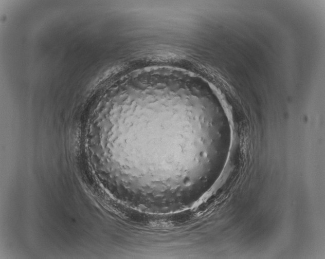 X0000084000591200702161135