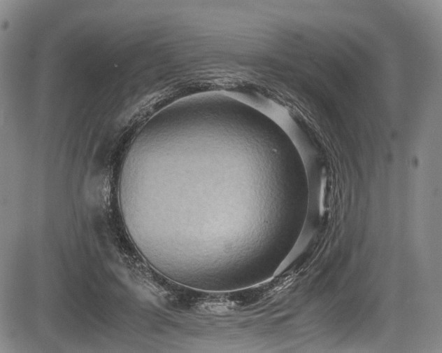X0000084000595200702161134