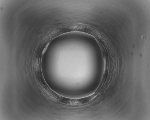 X0000084000605200702161134