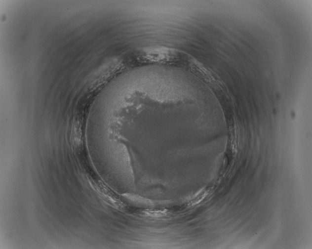 X0000084000606200702161134