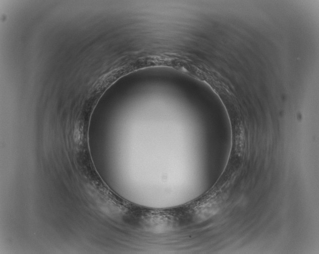 X0000084000608200702161134
