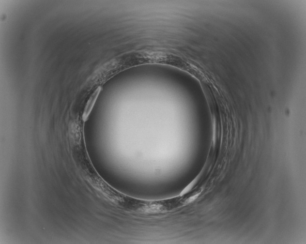 X0000084000609200702161134