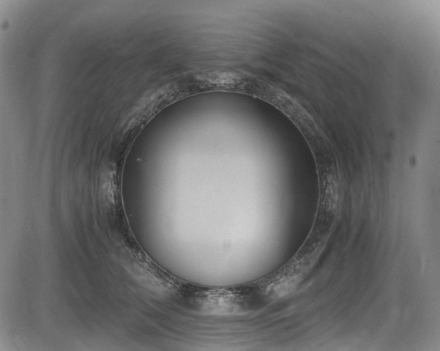X0000084000612200702161134