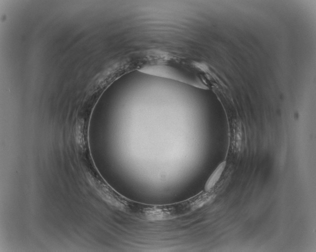 X0000084000616200702161134