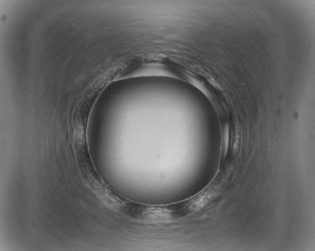 X0000084000617200702161134