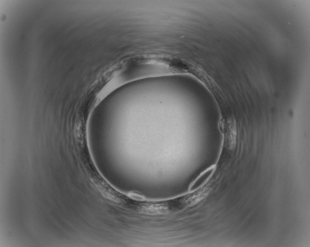 X0000084000619200702161134
