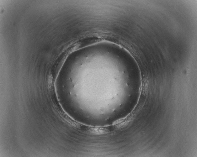 X0000084000623200702161134