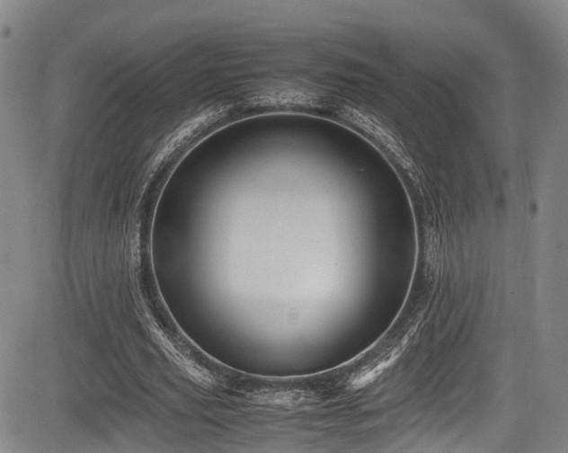 X0000084000629200702161133
