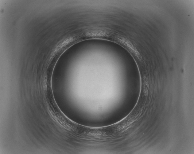 X0000084000631200702161133