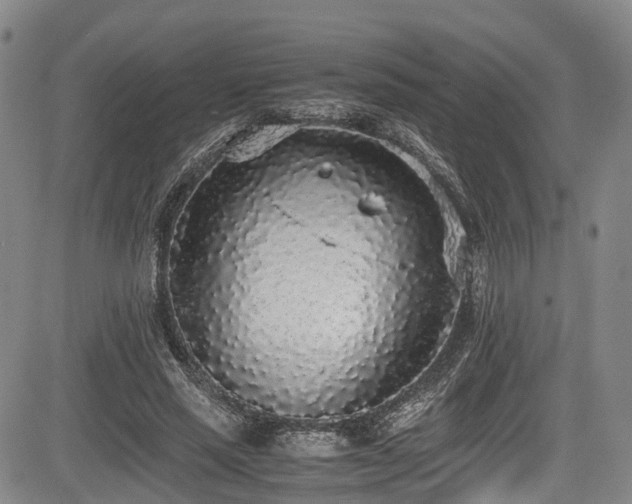 X0000084000637200702161133