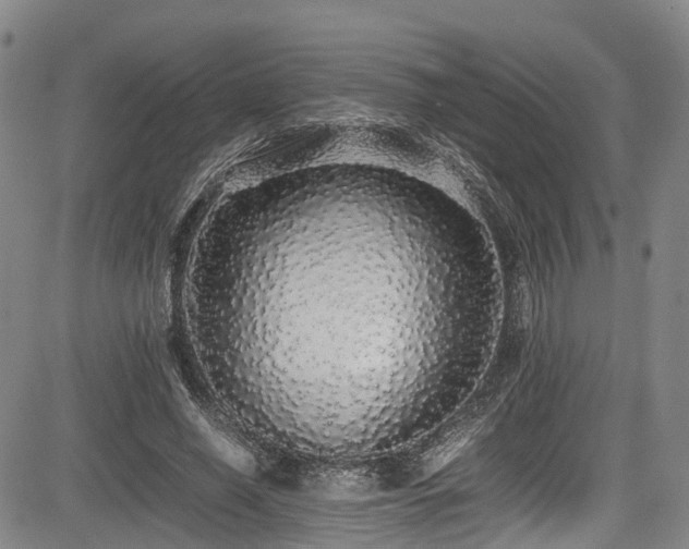 X0000084000638200702161133
