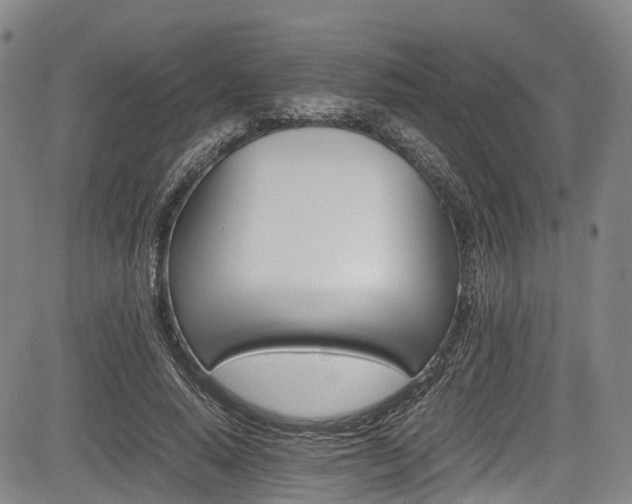 X0000084000640200702161133