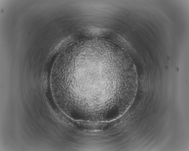 X0000084000642200702161133