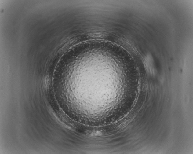 X0000084000647200702161134