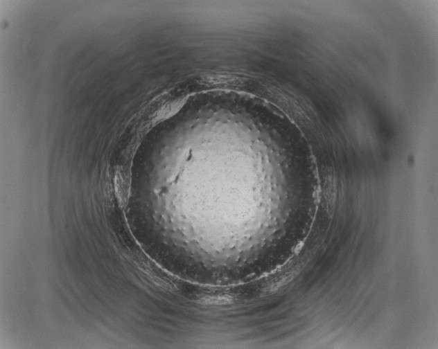 X0000084000653200702161134