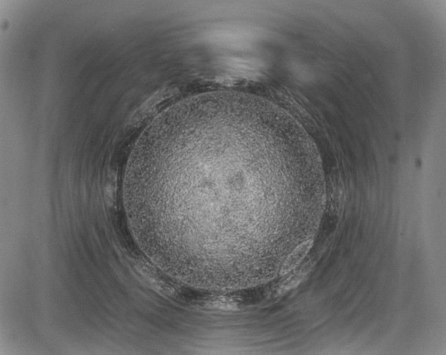 X0000084000656200702161134