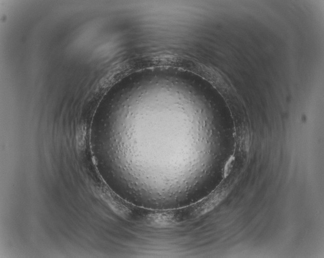 X0000084000660200702161134