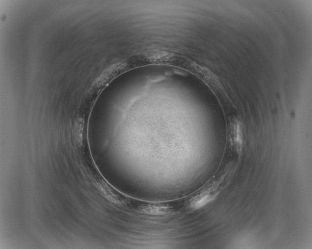 X0000084000664200702161134