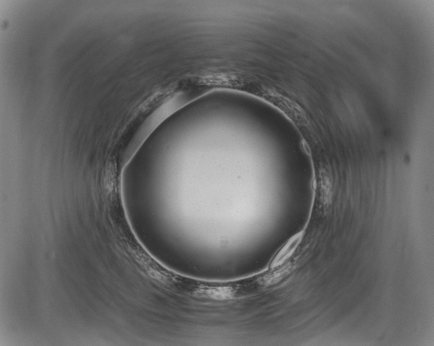 X0000084000665200702161134