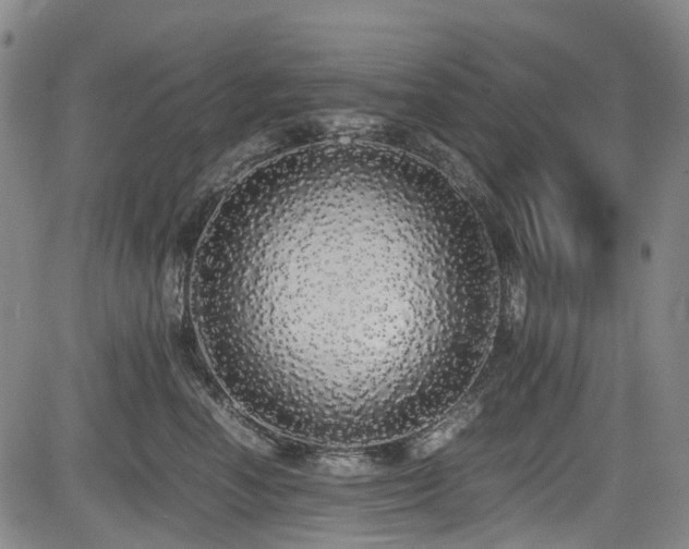 X0000084000666200702161134