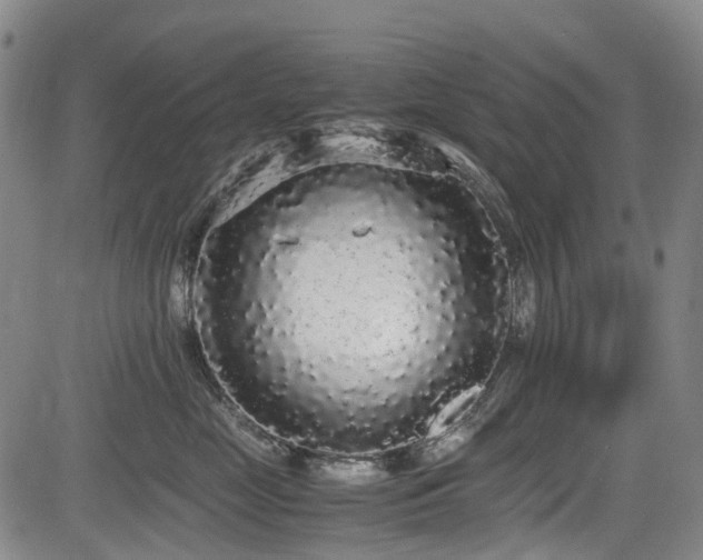 X0000084000669200702161134