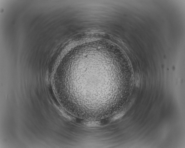 X0000084000670200702161134