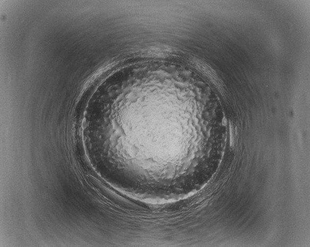 X0000084000675200702161133