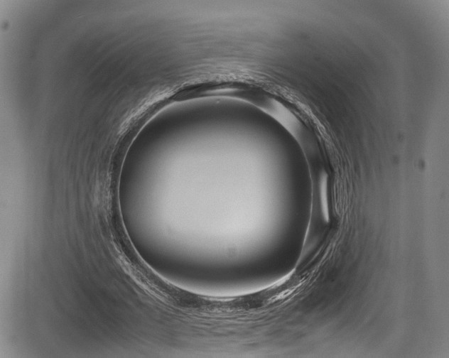 X0000084000677200702161133