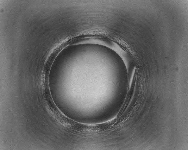 X0000084000680200702161133